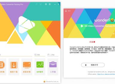 多功能视频工具箱Wonderfox HD Video Converter Factory Pro v25.5中文破解版